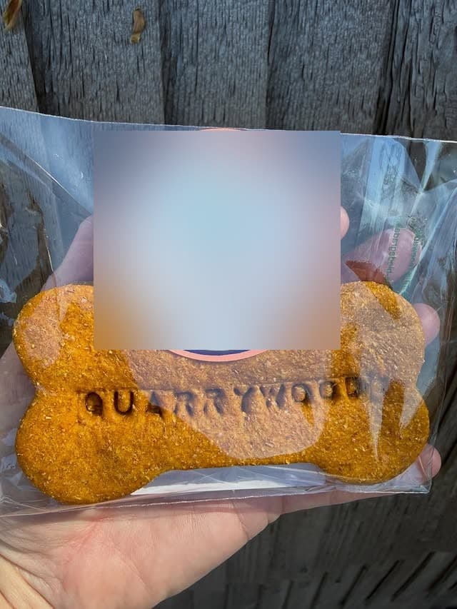 A bone biscuit pressed with the name QUARRYWOODS, held in hand